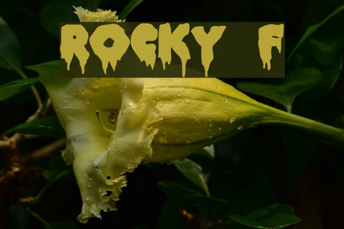 ROCKY Font examples