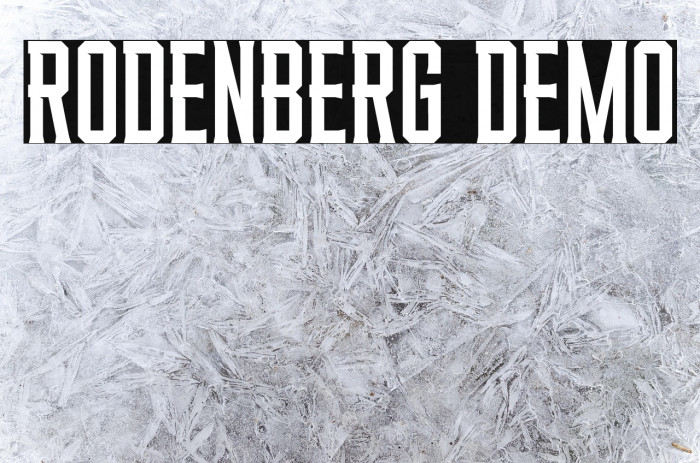 RODENBERG DEMO Example 1