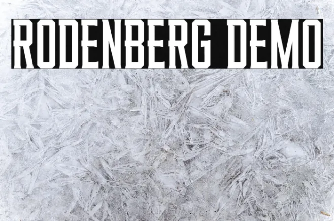 RODENBERG DEMO Example 1