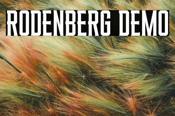 RODENBERG DEMO Example 2