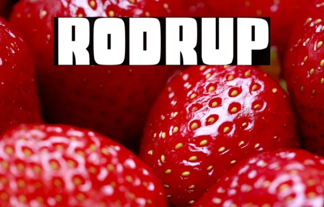 RODRUP Example 2