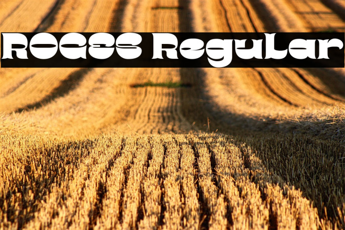 ROGES Regular Example 2