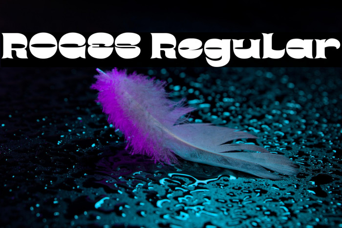 ROGES Regular Example 3