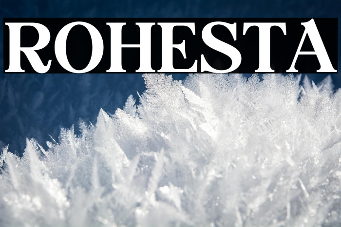 ROHESTA Example 1