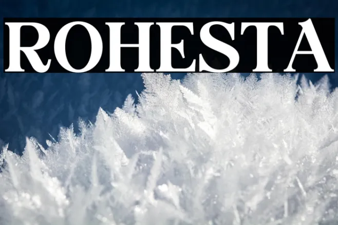 ROHESTA Example 1