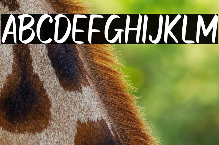 ROHS Simplicity Example 3