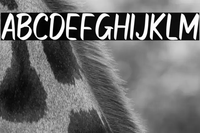 ROHS Simplicity Fonte examples