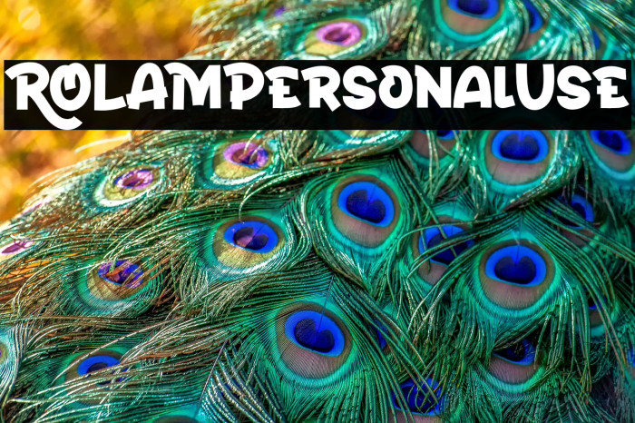 ROLAMPersonalUse Example 1