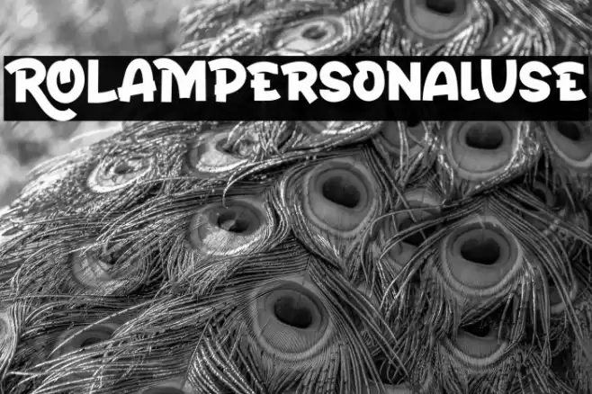 ROLAMPersonalUse フォント examples