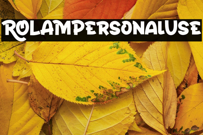 ROLAMPersonalUse Example 3