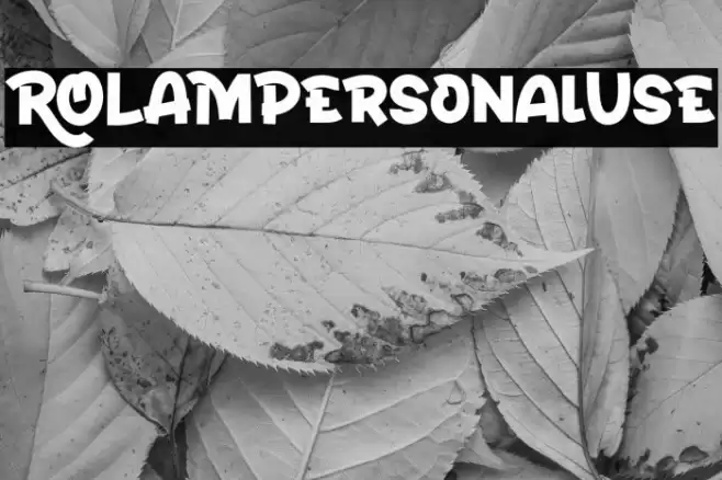 ROLAMPersonalUse フォント examples