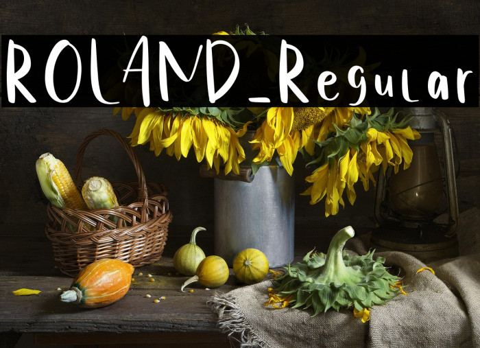 ROLAND-Regular Example 2