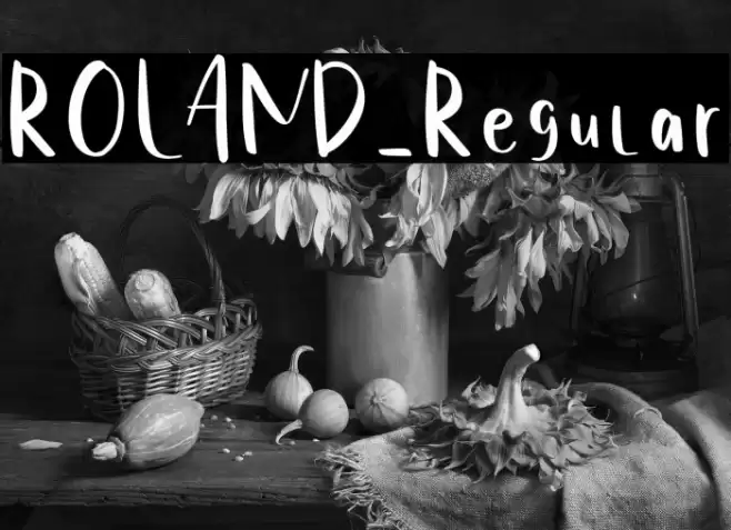 ROLAND-Regular Font examples