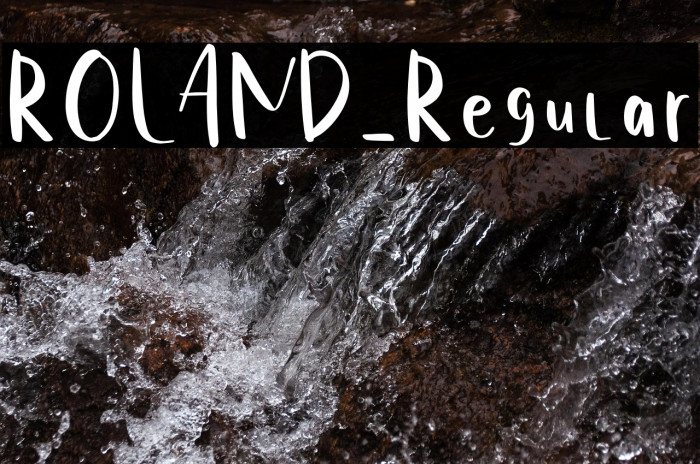 ROLAND-Regular Example 3