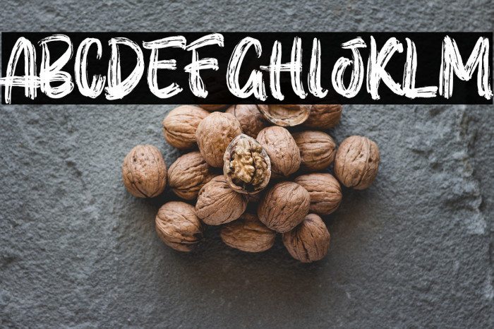 ROLLBLAST Personal Use Solid Example 1