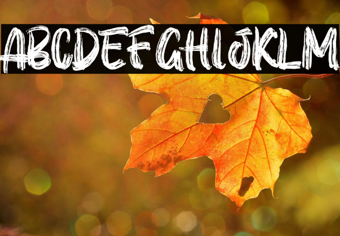 ROLLBLAST Personal Use Solid Example 3