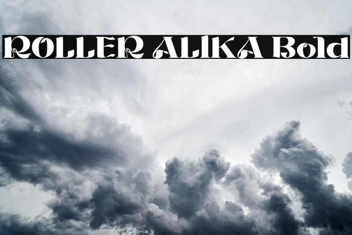 ROLLER ALIKA Bold Example 1
