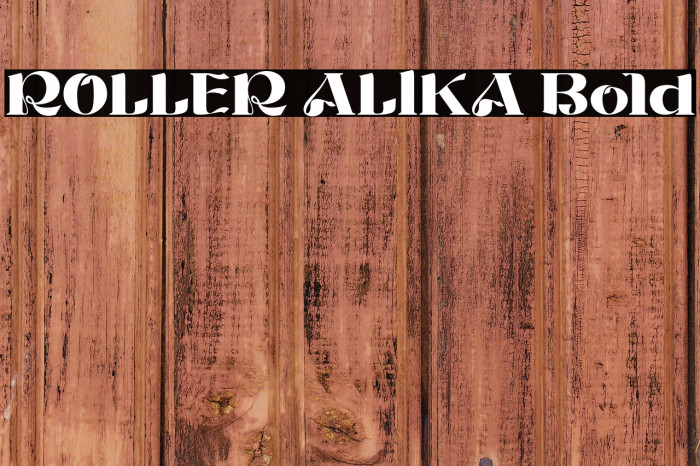 ROLLER ALIKA Bold Example 2