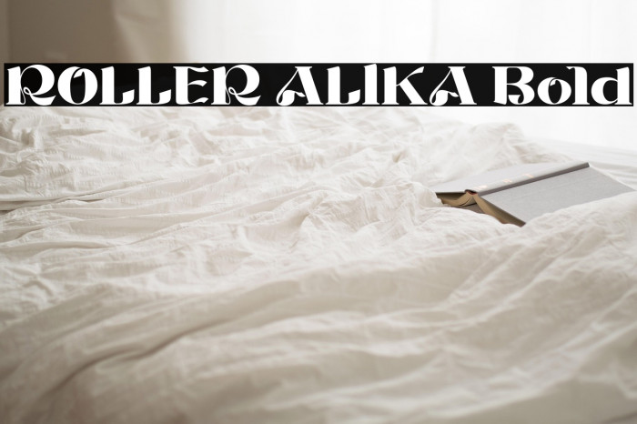 ROLLER ALIKA Bold Example 3