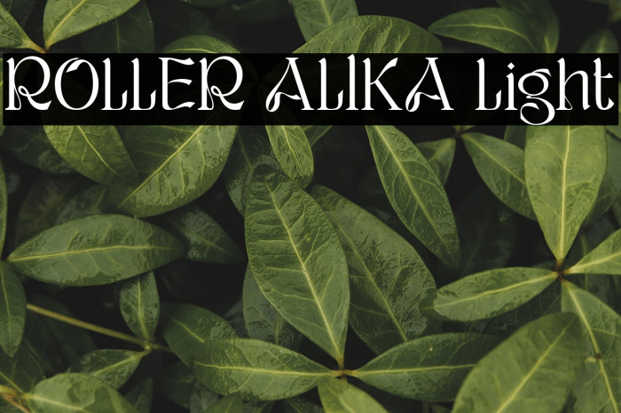 ROLLER ALIKA Light Example 1