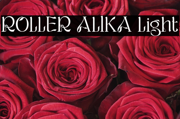 ROLLER ALIKA Light Example 3