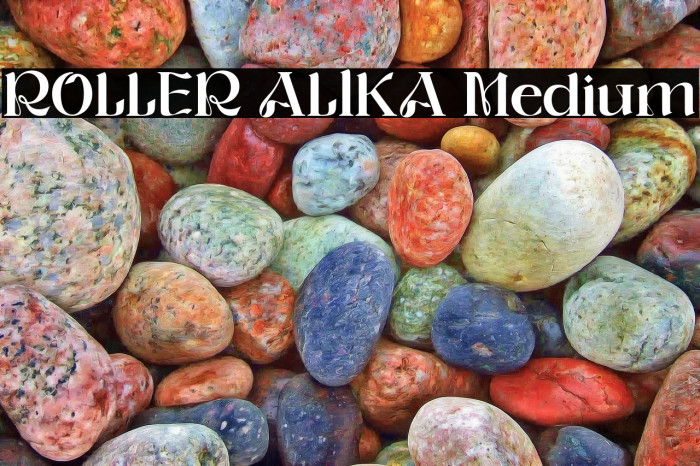 ROLLER ALIKA Medium Example 1