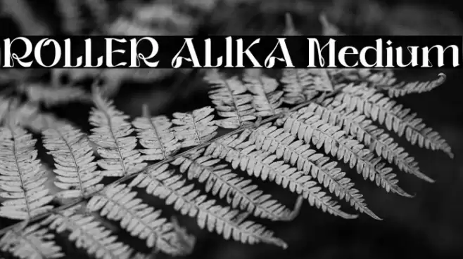 ROLLER ALIKA Medium Font examples