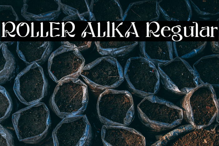 ROLLER ALIKA Regular Example 2