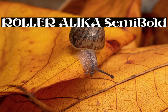 ROLLER ALIKA SemiBold Example 2