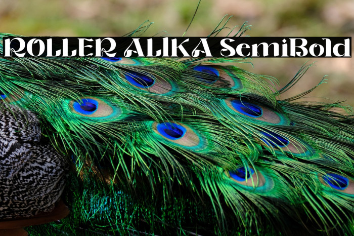 ROLLER ALIKA SemiBold Example 3