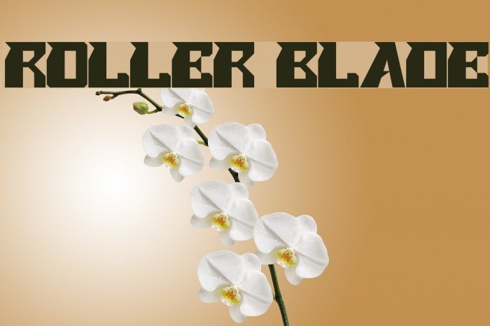 ROLLER BLADE Font examples