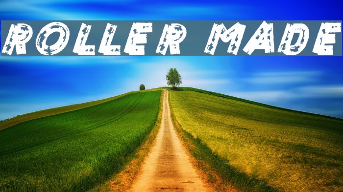ROLLER MADE Font examples