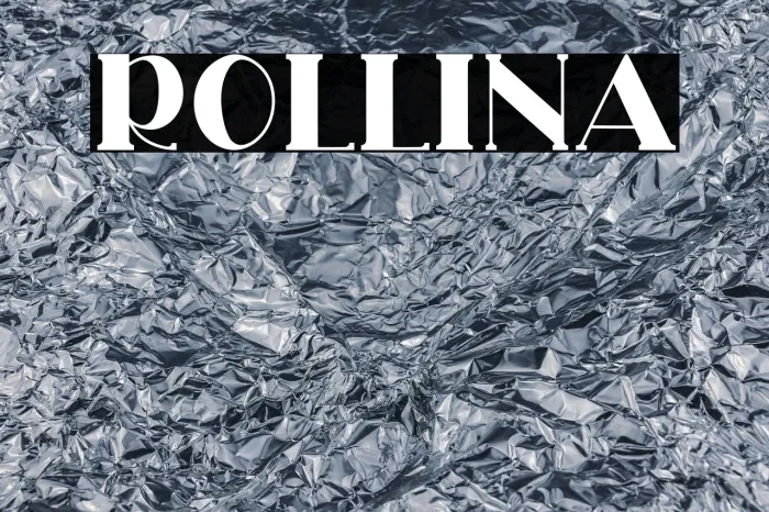 ROLLINA Example 1