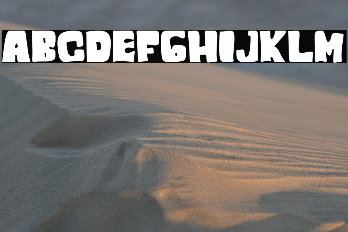 ROMAN SHINE Example 1