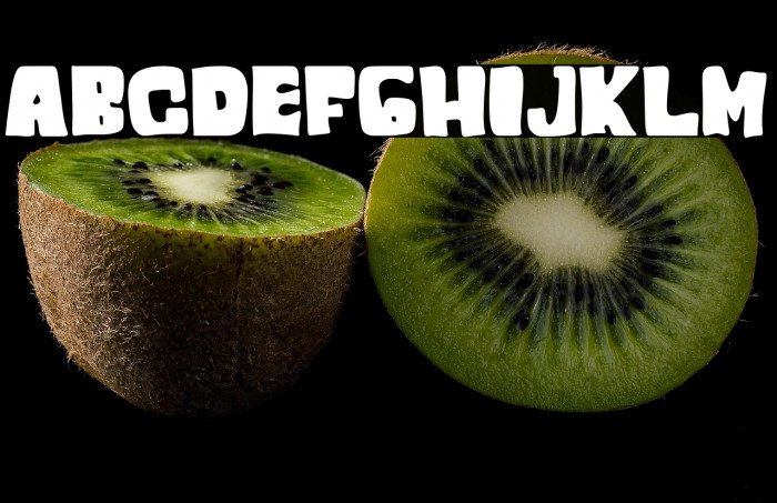 ROMAN SHINE Example 3