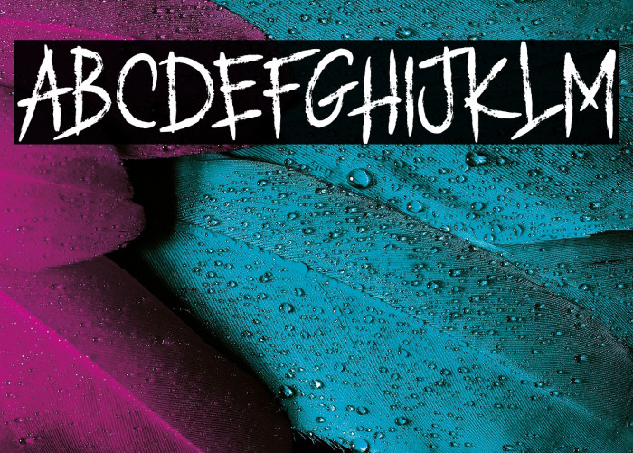 ROMANCE MARKER Example 1