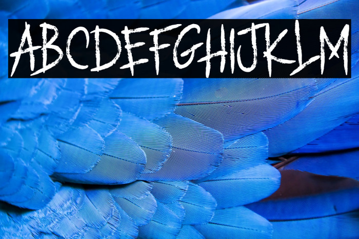 ROMANCE MARKER Example 2