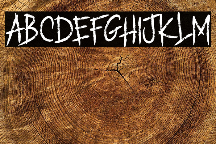 ROMANCE MARKER Example 3