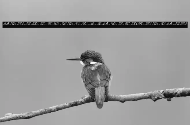 ROMANTIC LOVES SPLIT MONOGRAM Font examples