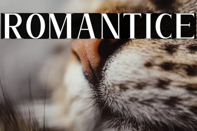 ROMANTICE Example 3