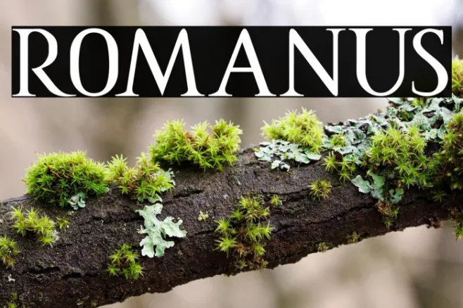 ROMANUS Example 1