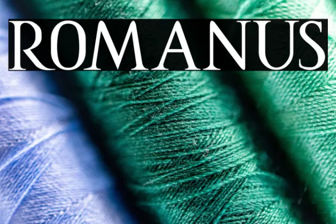 ROMANUS Example 2