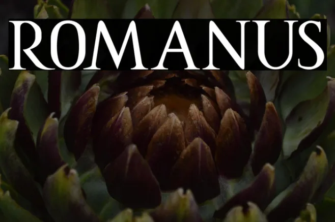 ROMANUS Example 3