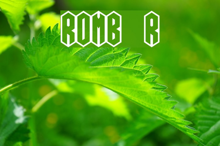 ROMB Regular Font examples