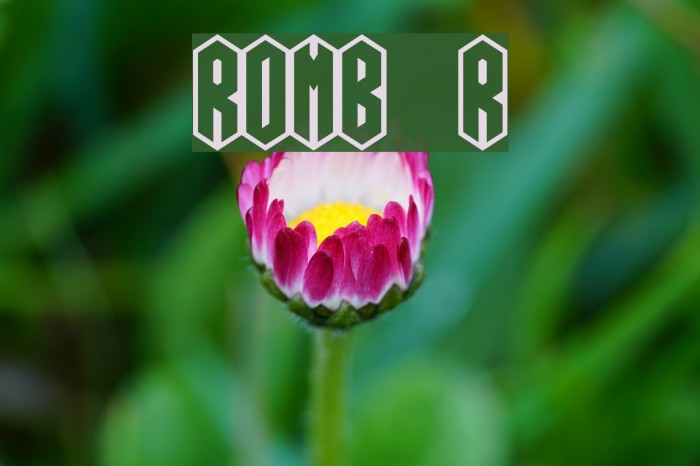 ROMB Regular Font examples