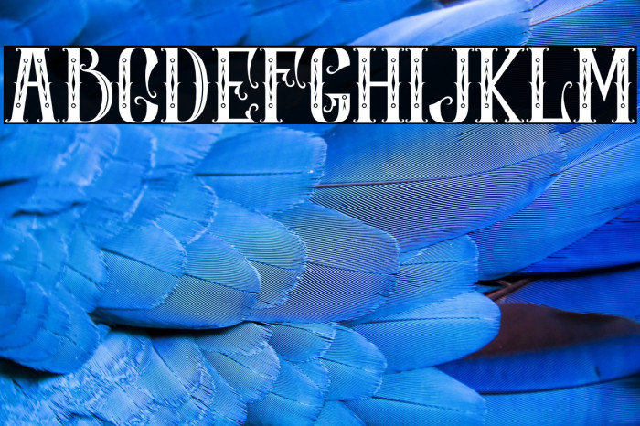 ROMES PALACE3 Example 3