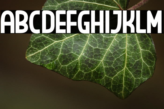 RONALDI GUJE Example 1