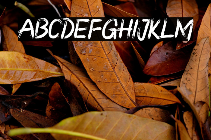 RONGGOLAWE Example 2