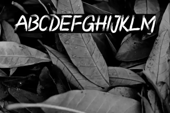 RONGGOLAWE Font examples