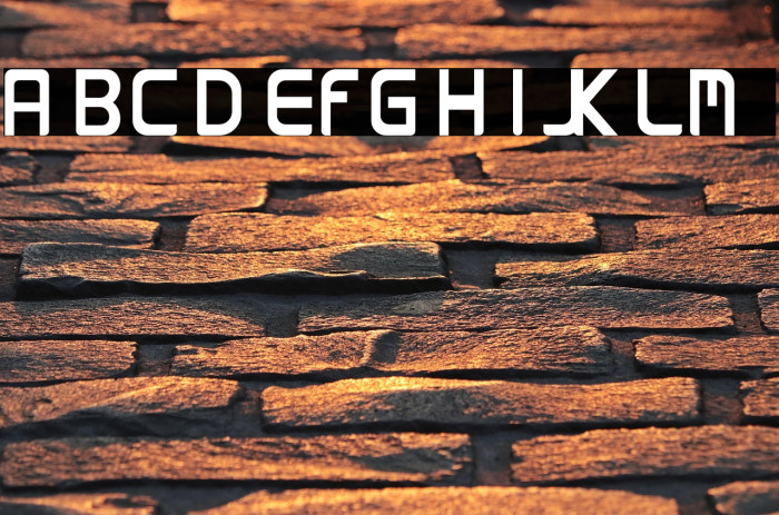 RONIUM Demo Example 1